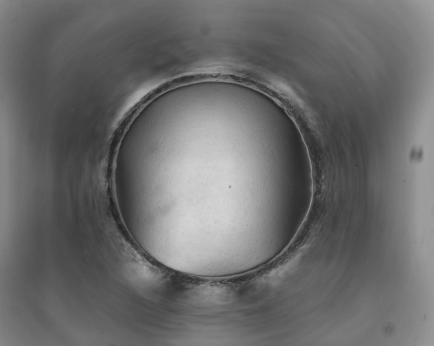 X0000094451216200711151420