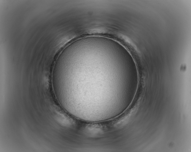 X0000094451217200711151420