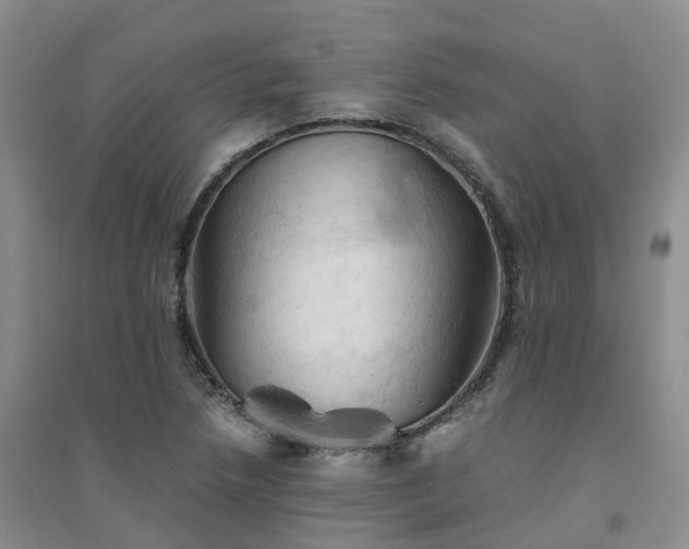 X0000094451218200711151420