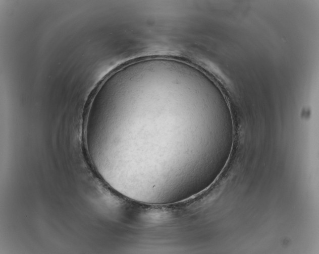 X0000094451220200711151420