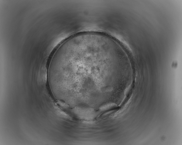 X0000094451221200711151420