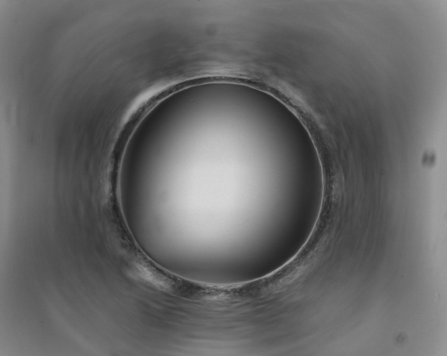 X0000094451222200711151420