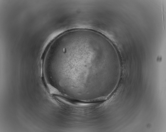 X0000094451223200711151420