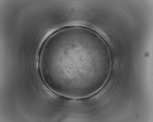 X0000094451224200711151420