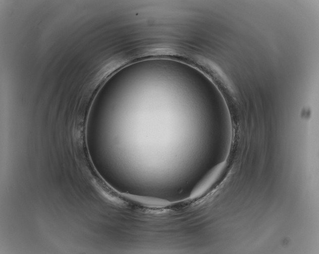 X0000094451225200711151420