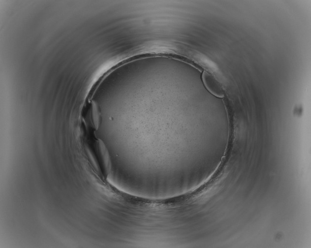 X0000094451226200711151420