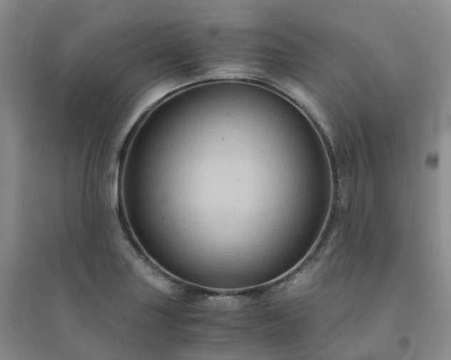 X0000094451227200711151420