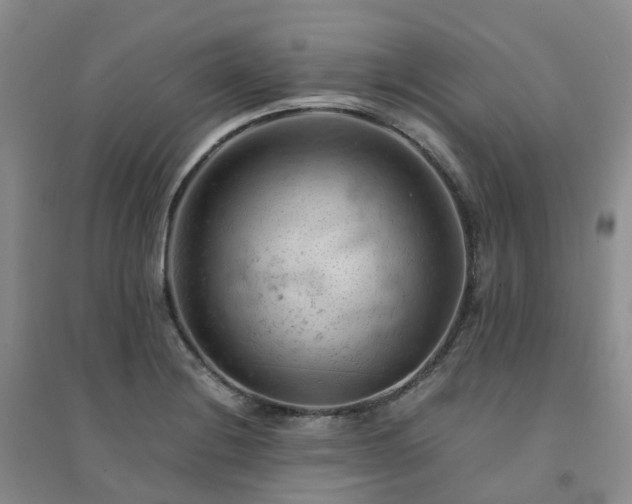 X0000094451228200711151420