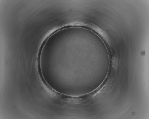 X0000094451229200711151420
