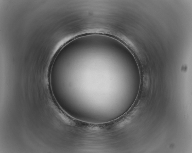 X0000094451230200711151420