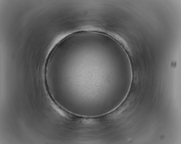 X0000094451231200711151420