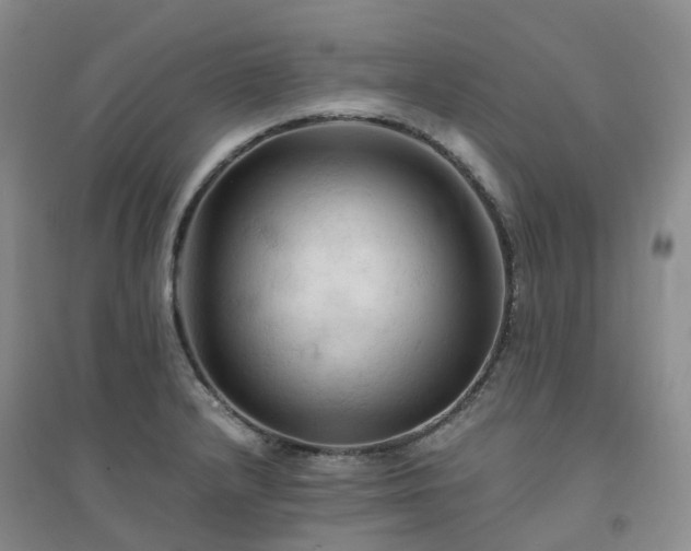 X0000094451232200711151420