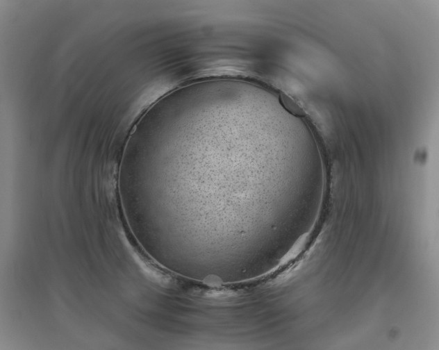 X0000094451233200711151420