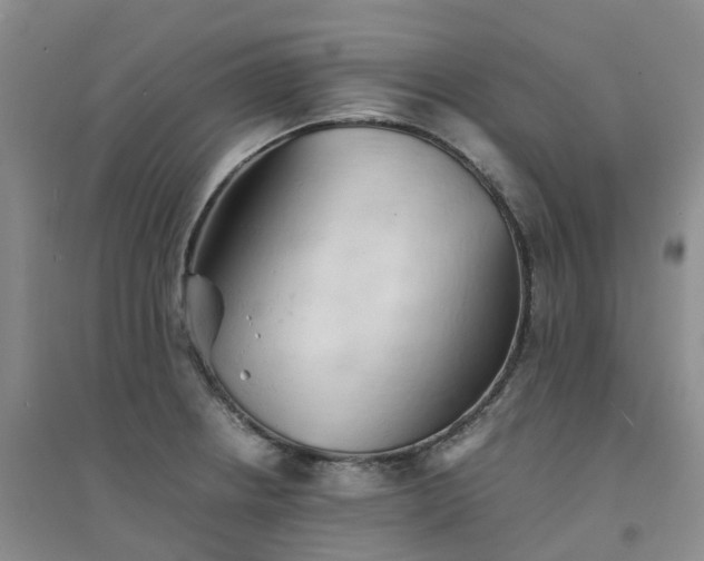 X0000094451234200711151420