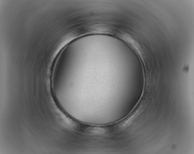 X0000094451235200711151420