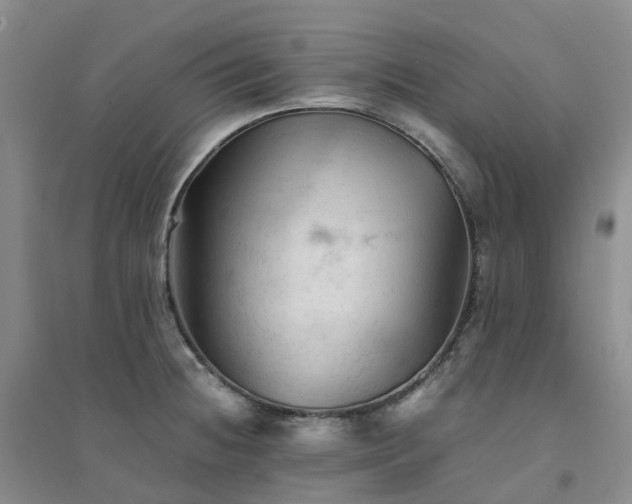 X0000094451236200711151420