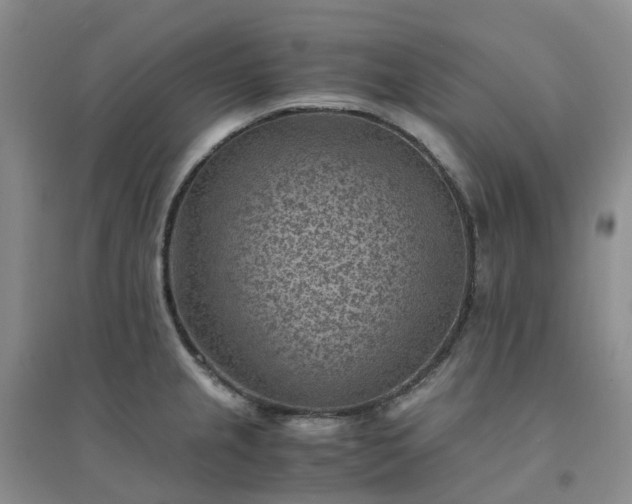 X0000094451237200711151420