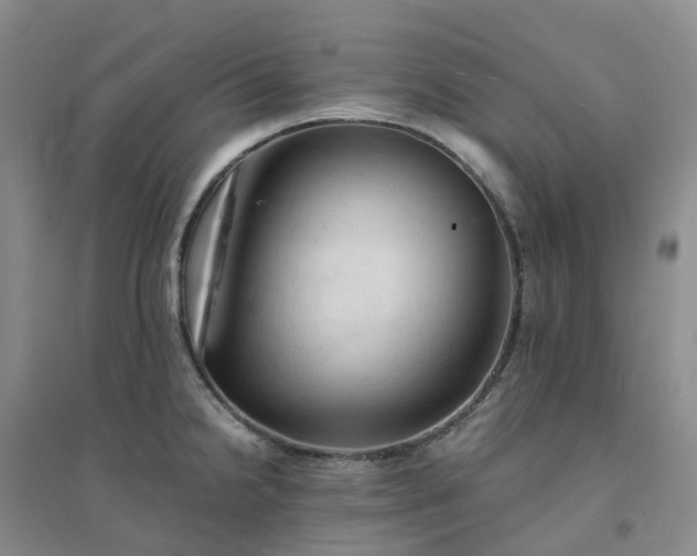 X0000094451238200711151420
