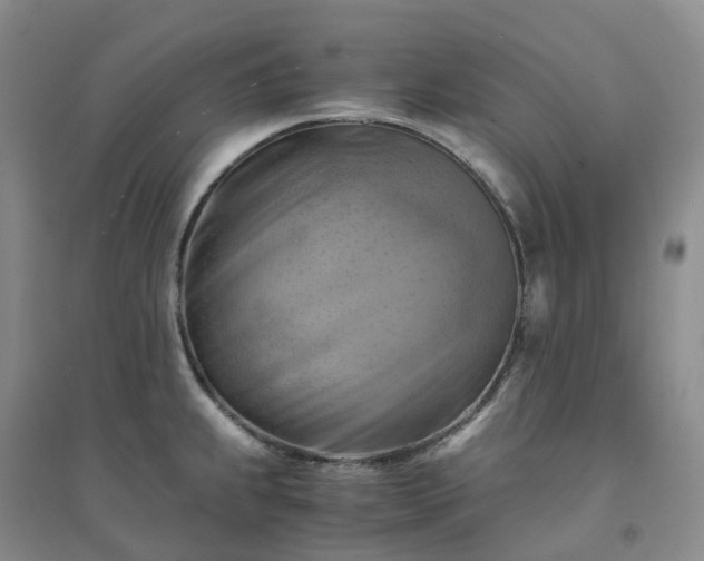 X0000094451239200711151420