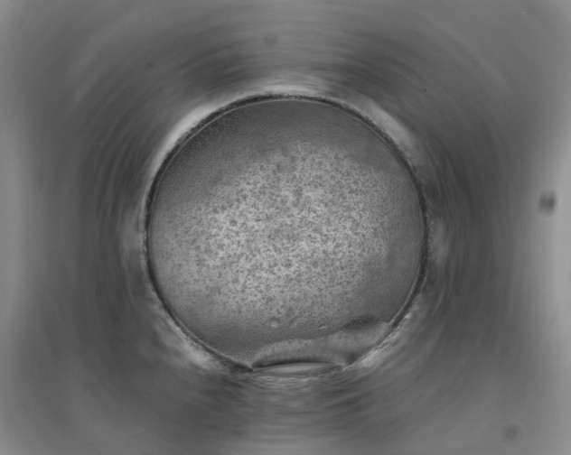 X0000094451240200711151420