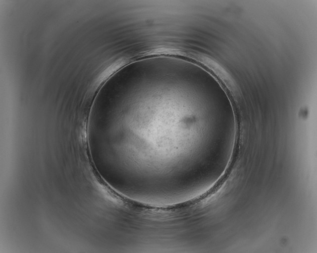 X0000094451241200711151420