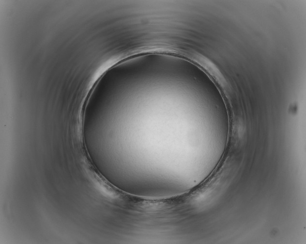 X0000094451242200711151420