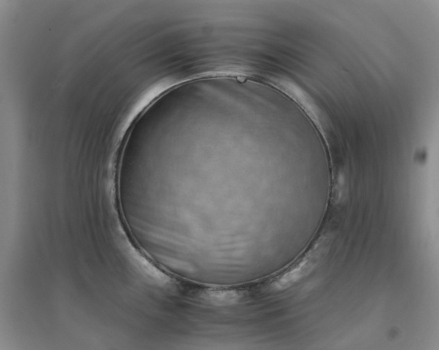 X0000094451243200711151420