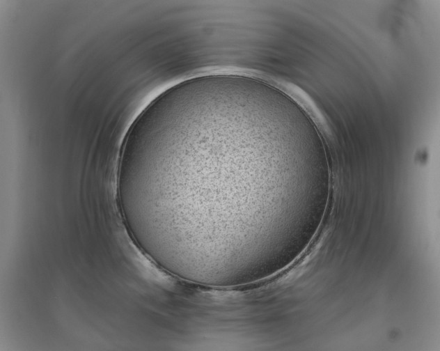 X0000094451244200711151420