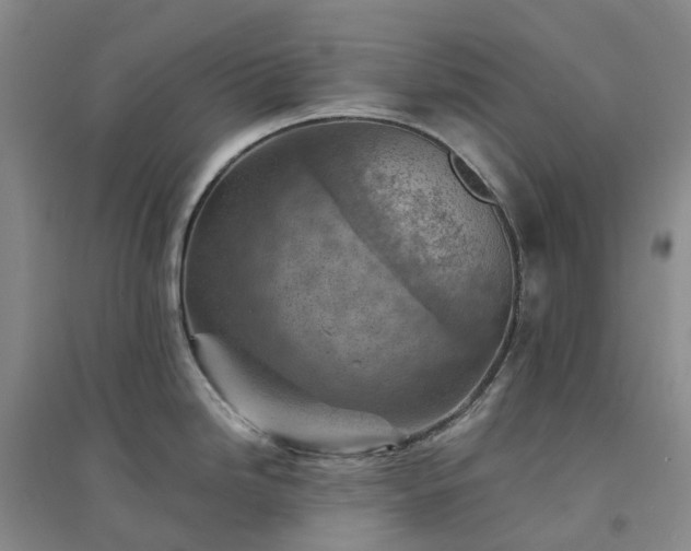 X0000094451246200711151420