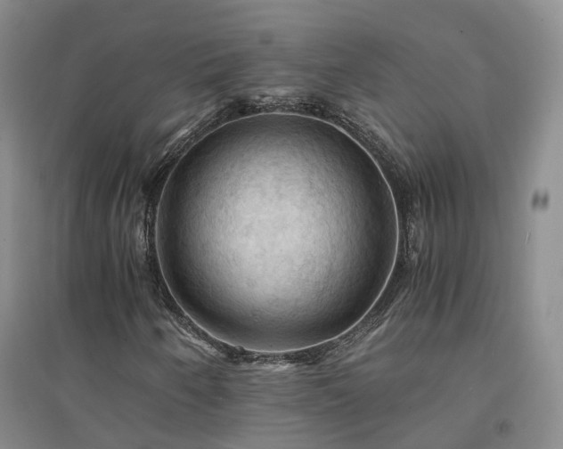 X0000094451250200711151419