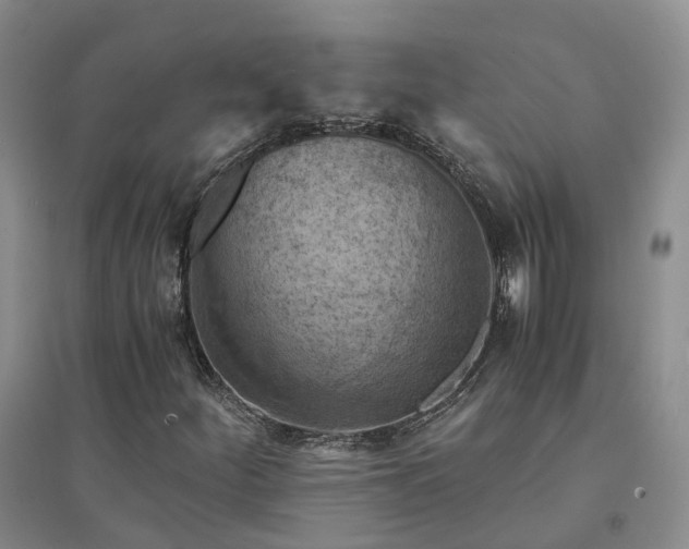 X0000094451252200711151419