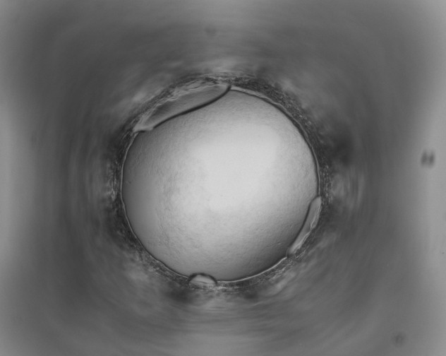 X0000094451253200711151419