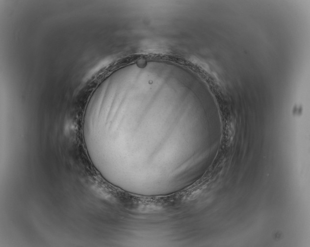 X0000094451254200711151419