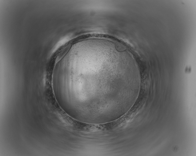 X0000094451255200711151419
