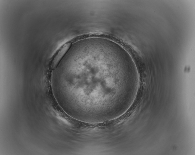 X0000094451256200711151419