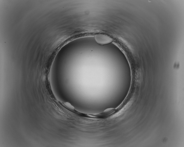 X0000094451257200711151419