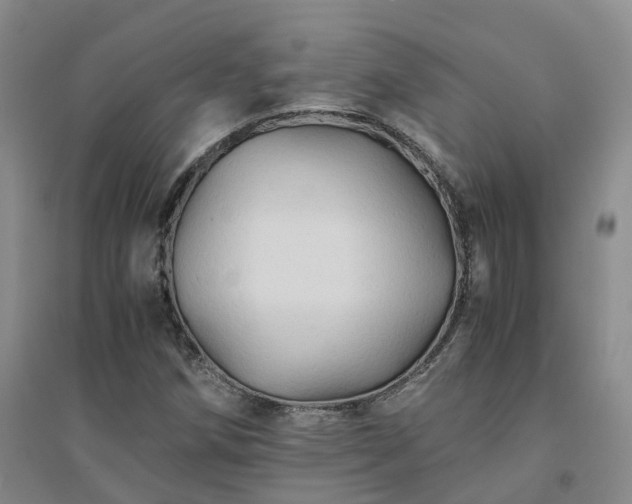 X0000094451258200711151419