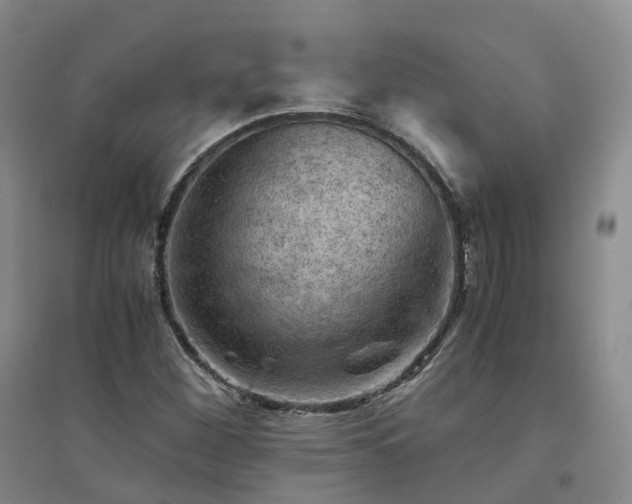 X0000094451260200711151419