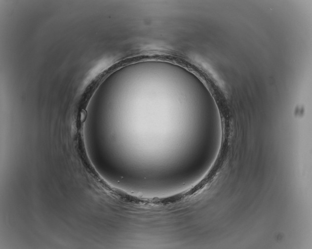 X0000094451261200711151419
