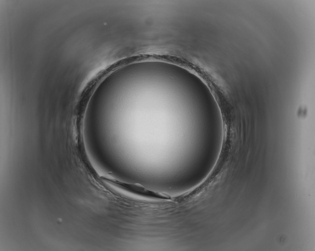 X0000094451262200711151419