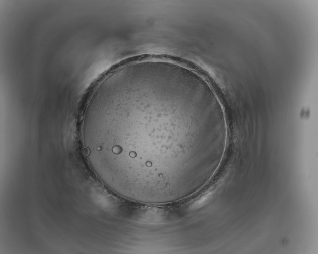 X0000094451263200711151419