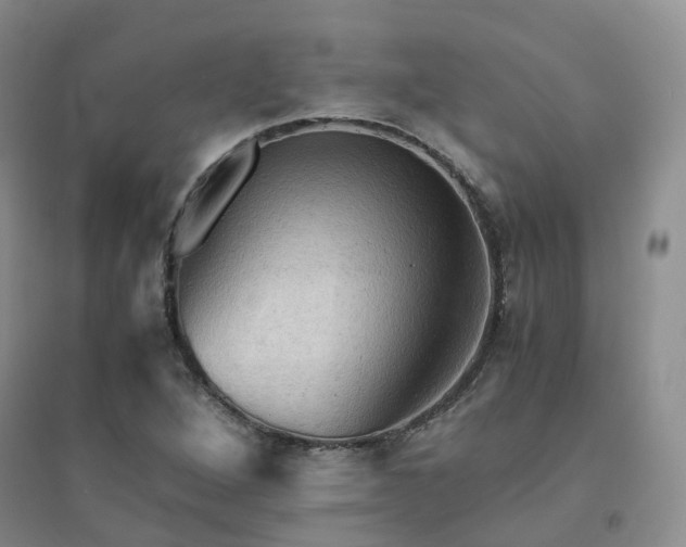 X0000094451264200711151419