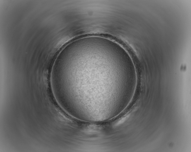 X0000094451265200711151419