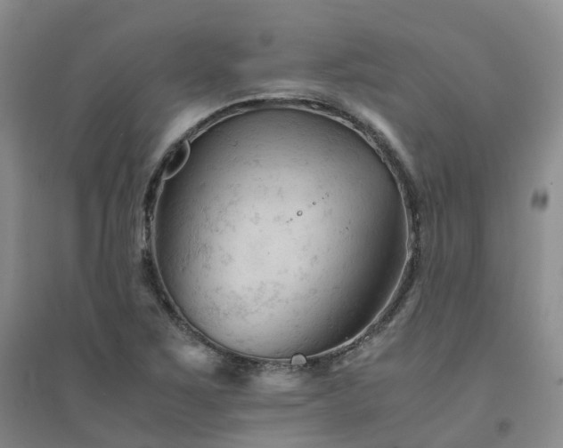 X0000094451267200711151419
