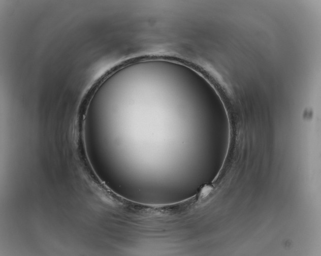 X0000094451270200711151419