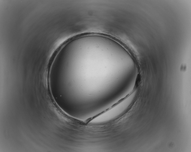 X0000094451272200711151419