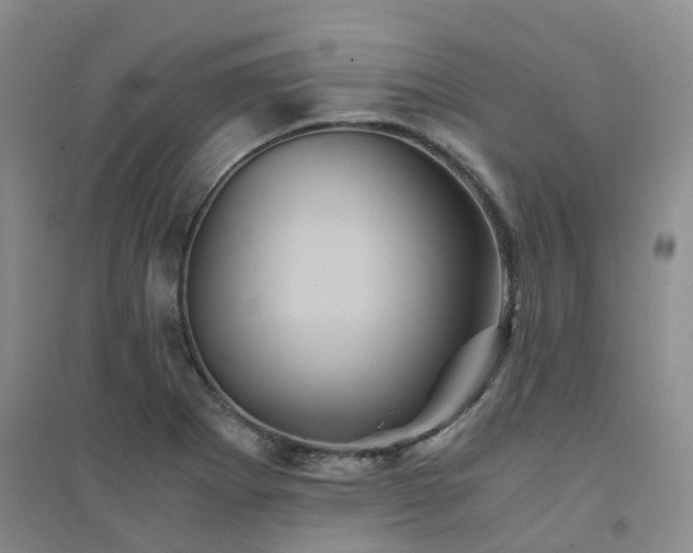 X0000094451273200711151419