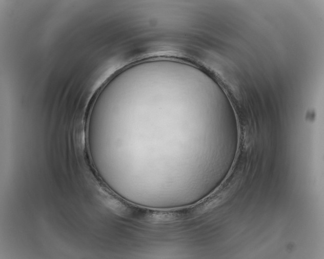 X0000094451274200711151419