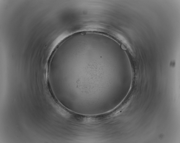 X0000094451275200711151419