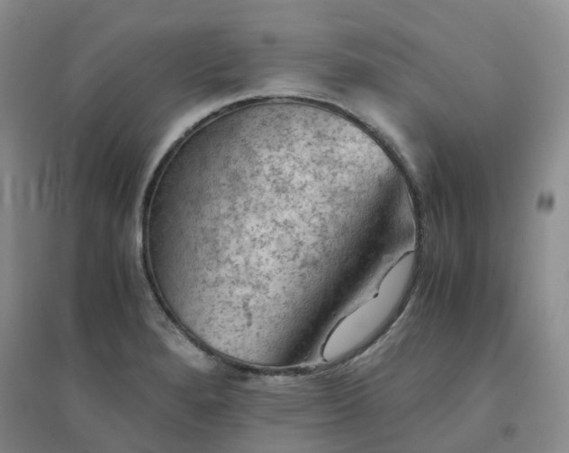X0000094451280200711151419